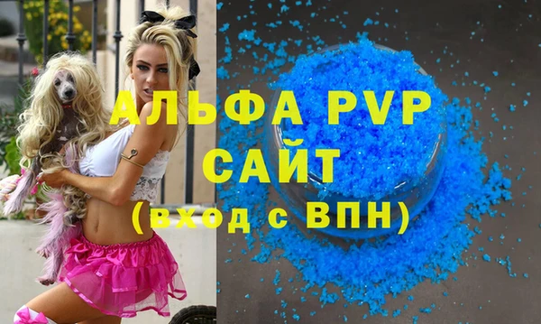 МДПВ Бородино