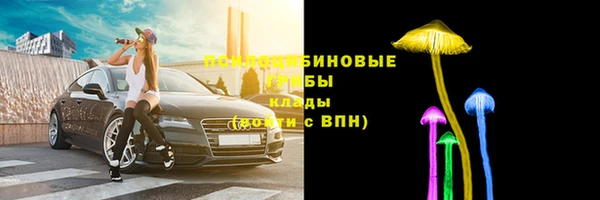 МДПВ Бородино