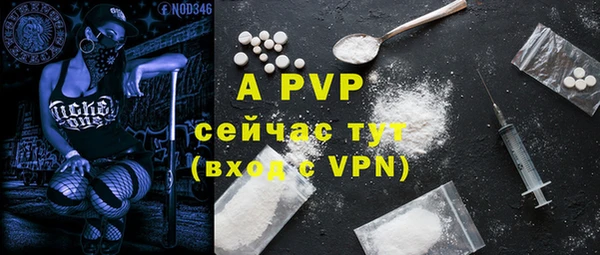 МДПВ Бородино