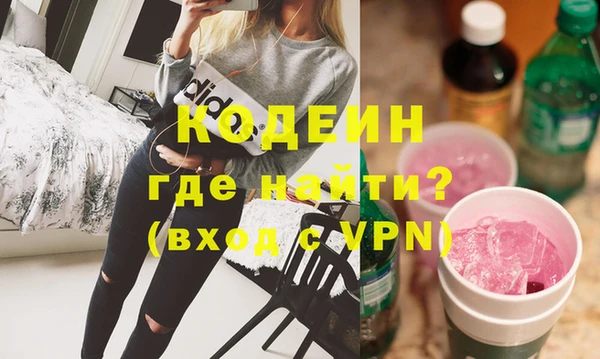 МДПВ Бородино