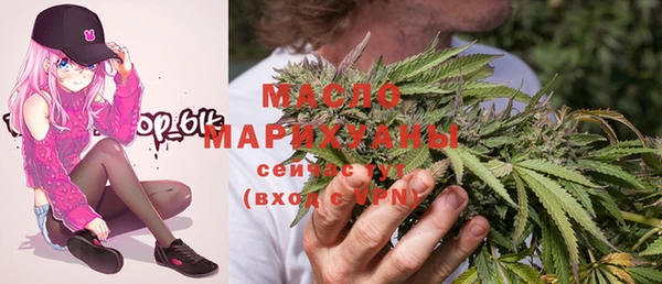 МДПВ Бородино