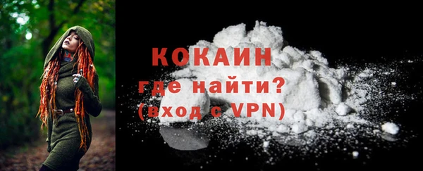 МДПВ Бородино