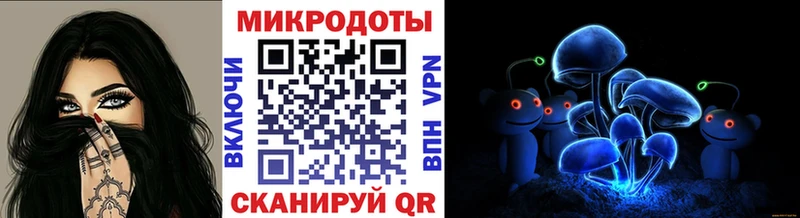 закладки  Кировград  Псилоцибиновые грибы мицелий 